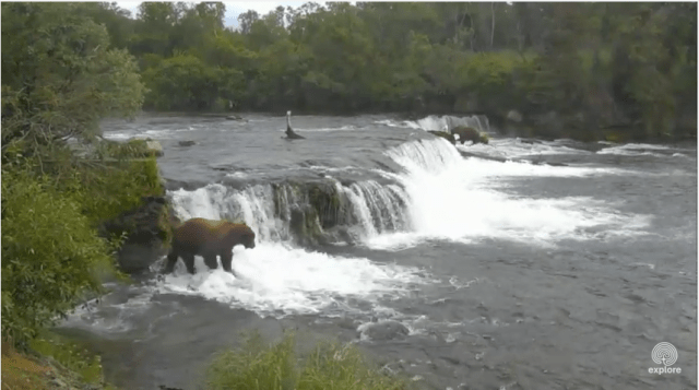 Screen Shot 2015-07-07 at 1.46.44 PM