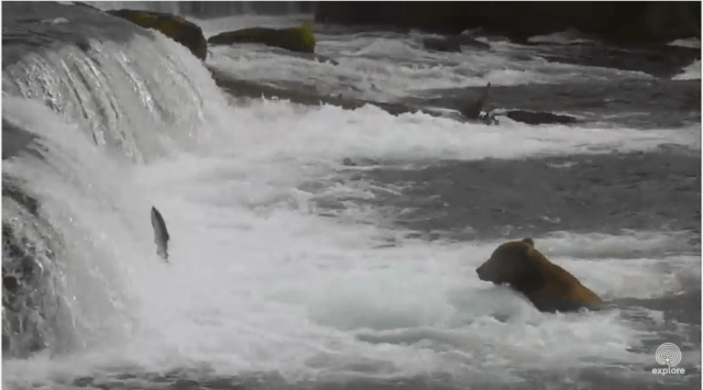 Screen Shot 2015-07-07 at 1.51.24 PM