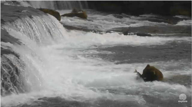 Screen Shot 2015-07-07 at 1.53.17 PM