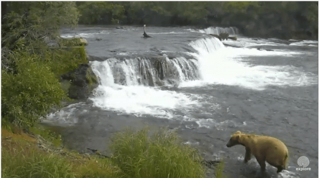 Screen Shot 2015-07-07 at 1.58.37 PM