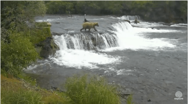 Screen Shot 2015-07-07 at 1.59.09 PM