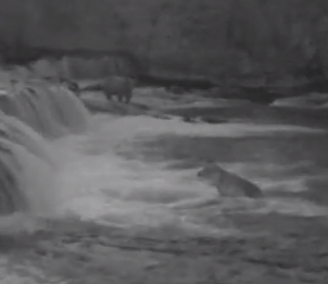 Screen Shot 2015-07-07 at 11.12.25 AM