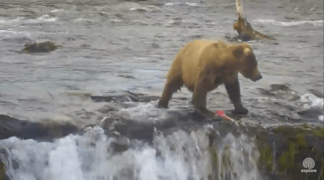 Screen Shot 2015-07-07 at 11.30.39 PM