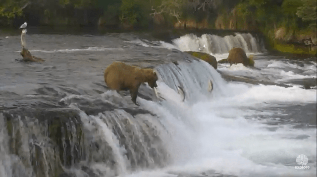 Screen Shot 2015-07-07 at 11.33.46 PM