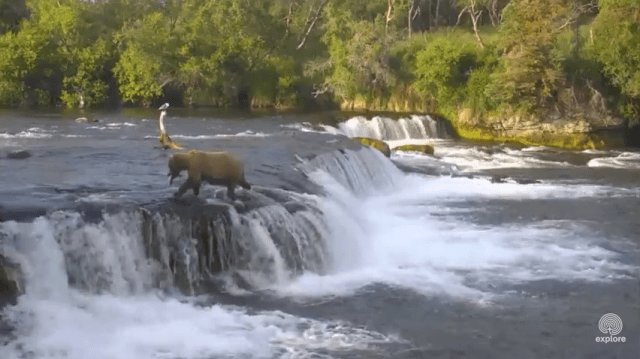 Screen Shot 2015-07-07 at 11.55.35 PM