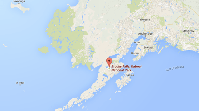 Screen Shot 2015-07-07 at 12.52.12 PM