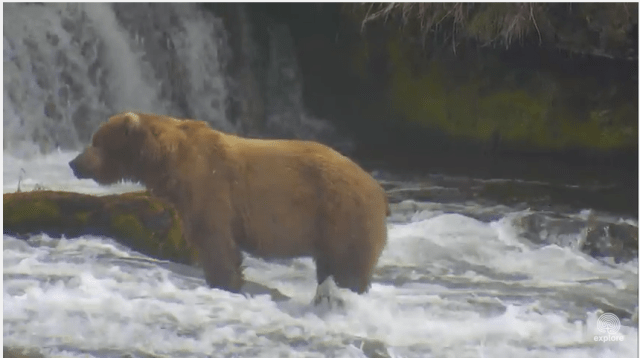 Screen Shot 2015-07-07 at 2.23.48 PM