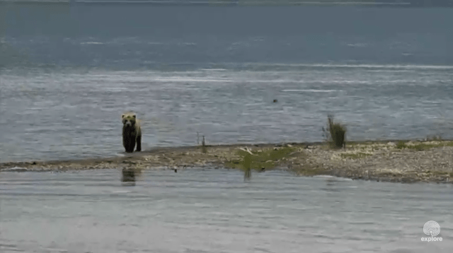 Screen Shot 2015-07-08 at 4.16.10 PM