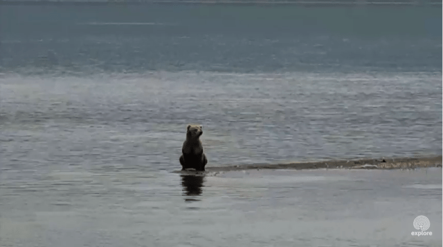 Screen Shot 2015-07-08 at 4.16.40 PM