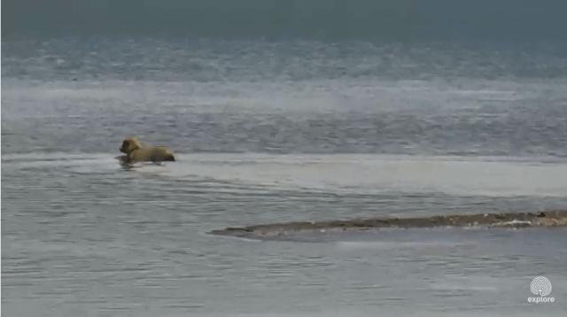 Screen Shot 2015-07-08 at 4.20.27 PM