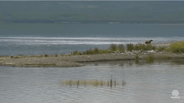 Screen Shot 2015-07-08 at 4.24.09 PM