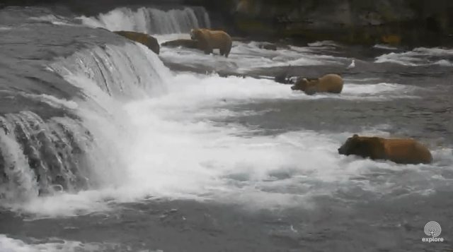 Screen Shot 2015-07-08 at 4.26.53 PM